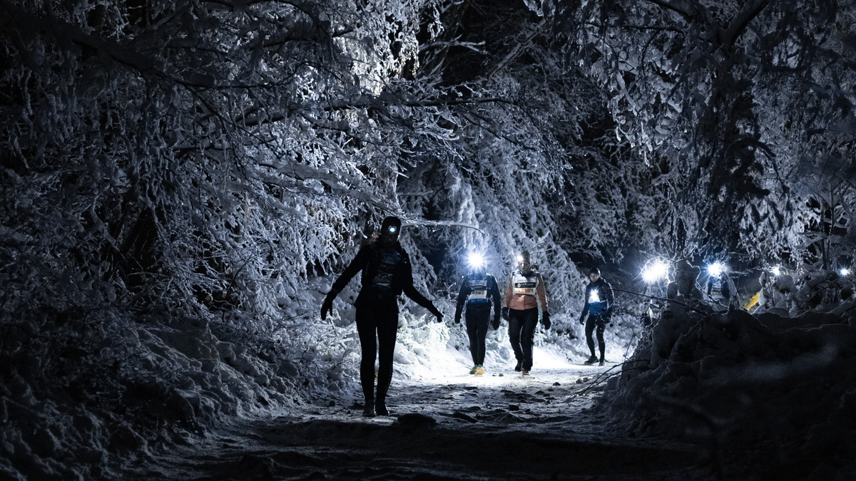 L’art de s’alimenter quand la nuit et le gel s'en mêlent